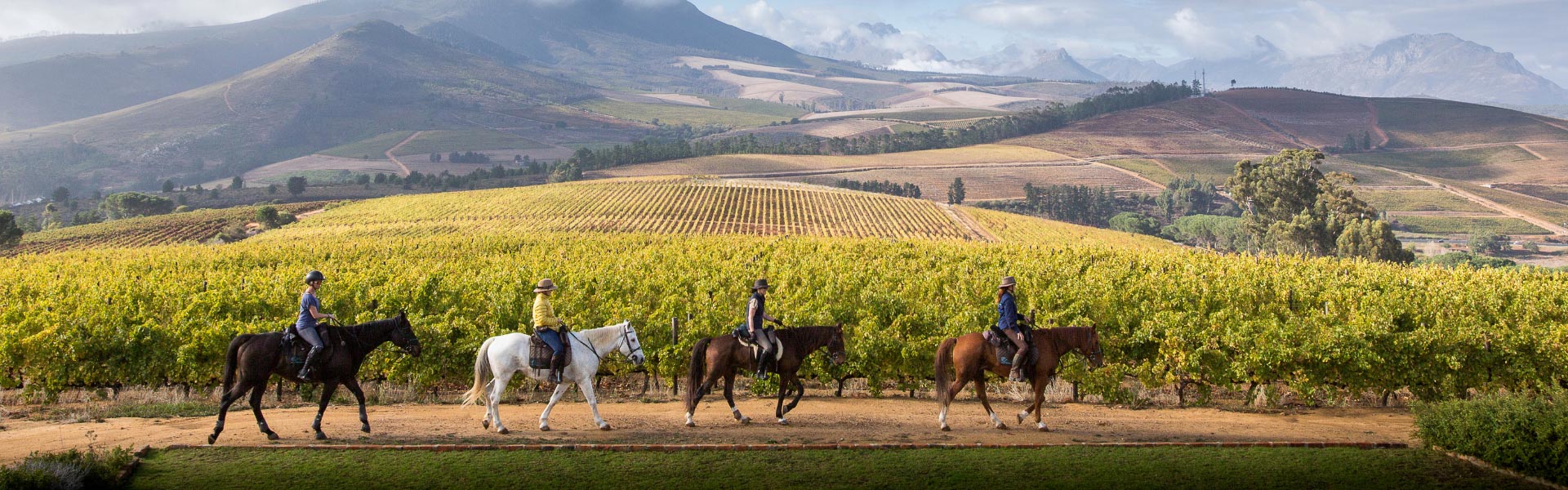 Cape Winelands Outrides