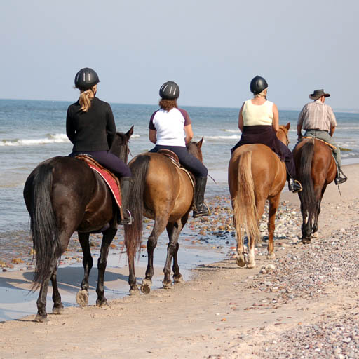 Day Package Tours