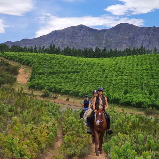 Franschhoek Outrides