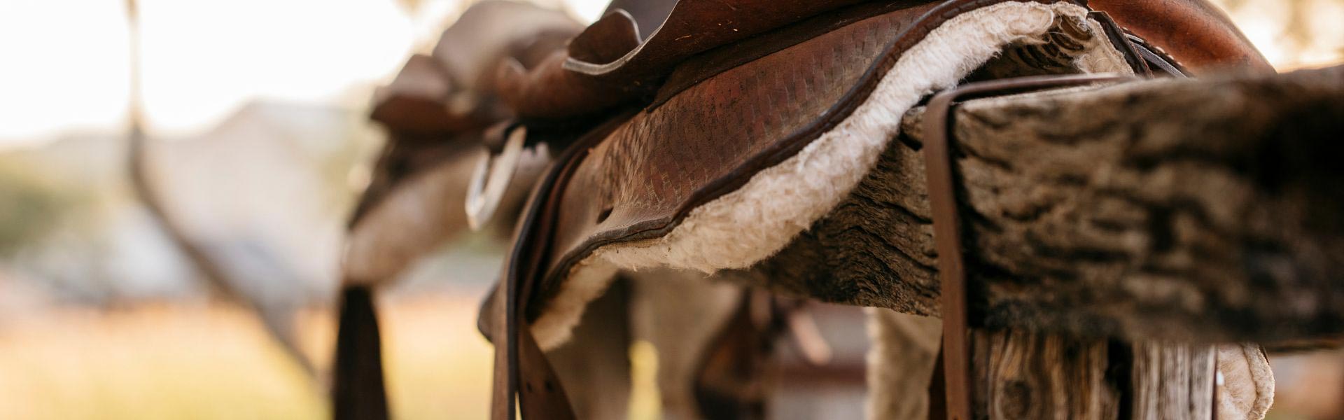Multiday Horseback Trail