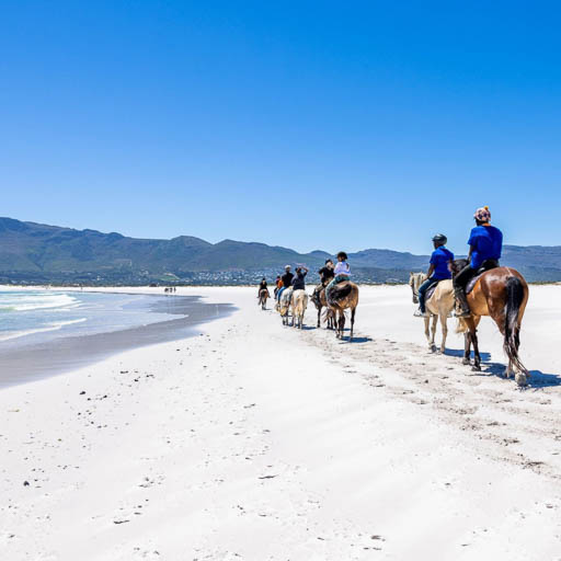 Noordhoek Beach Rides
