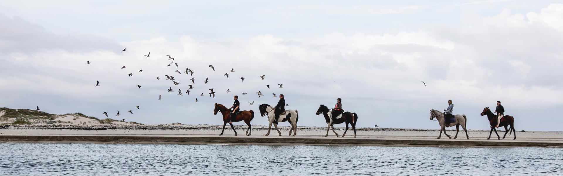 Overberg Beach Rides