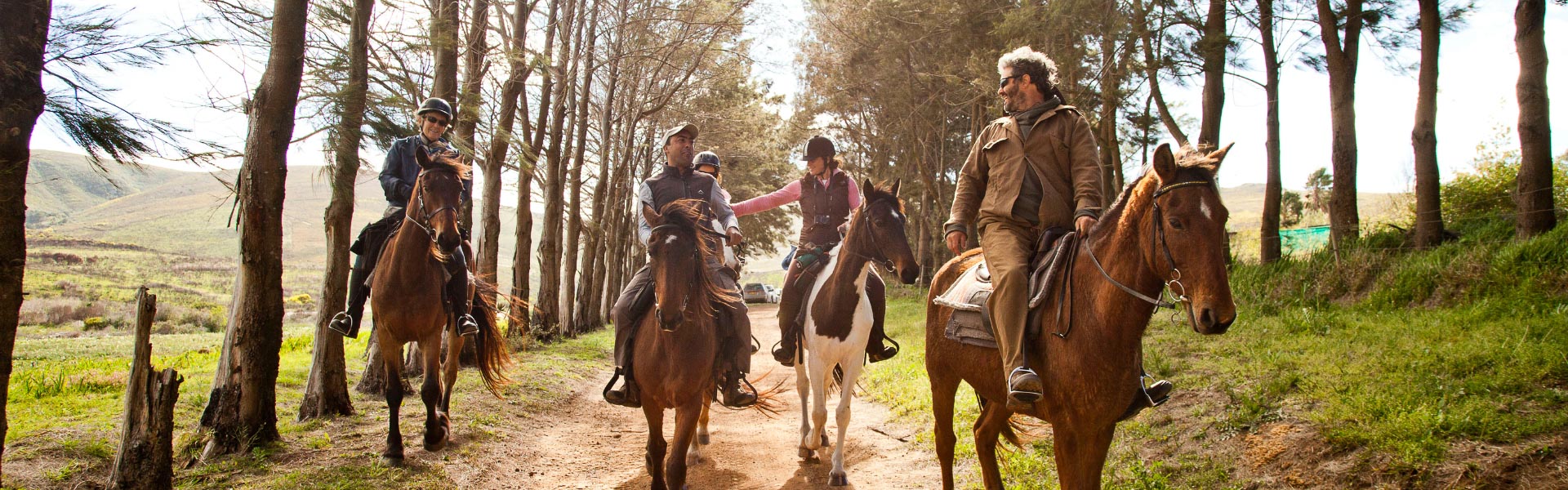 Overberg Fynbos Mountain Trails