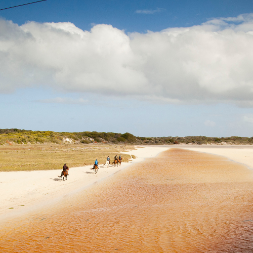 Overberg Beach Rides