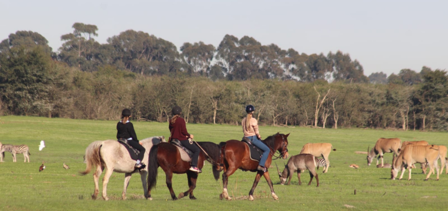 Stellenbosch Wildlife Sanctuary Outride