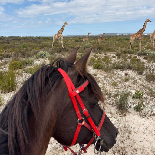 West Coast Game Reserve Outride