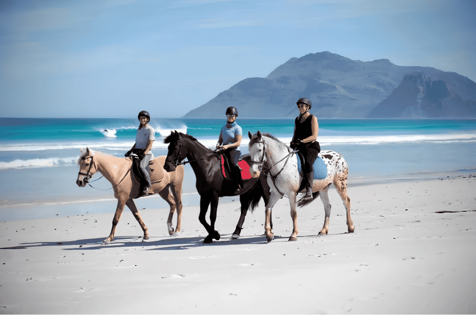 Noordhoek Experienced Private Outride