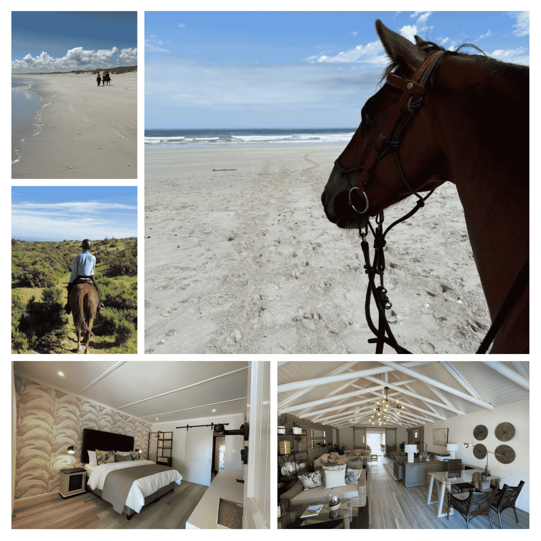 West Coast Overnight Vyge Vallei