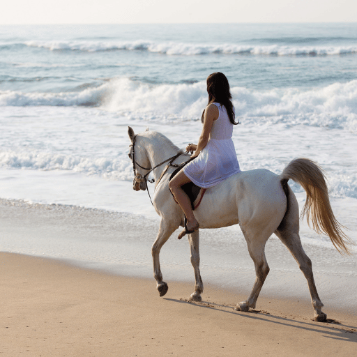 West Coast Photoshoot